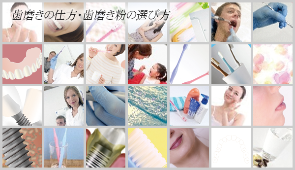 【歯磨きの仕方・歯磨き粉の選び方】